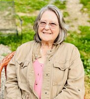 Stacy Irene  Suder